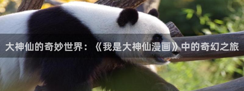 樱花动漫专注的动漫网页：大神仙